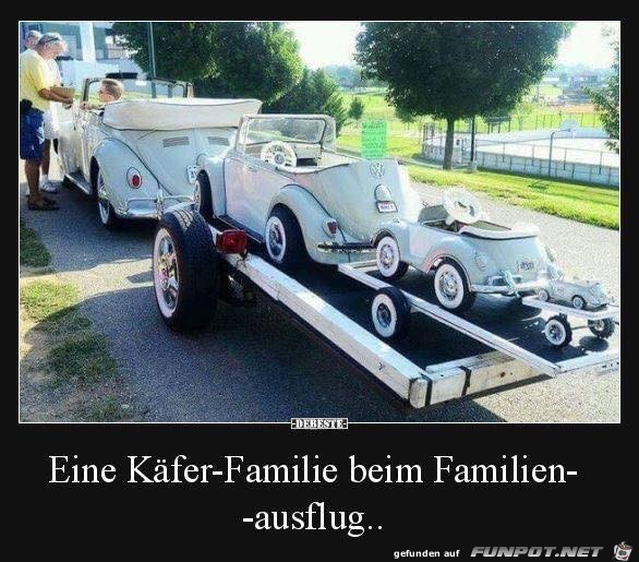 Käfer-Ausflug Käfer-Ausflug