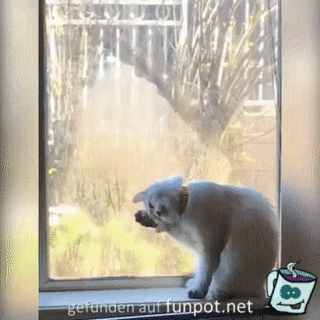 Laß mich rein Laß mich rein