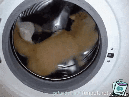 Das andere Hamsterrad Das andere Hamsterrad