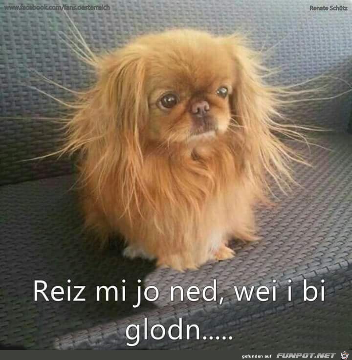 Reiz mich nicht... Reiz mich nicht...