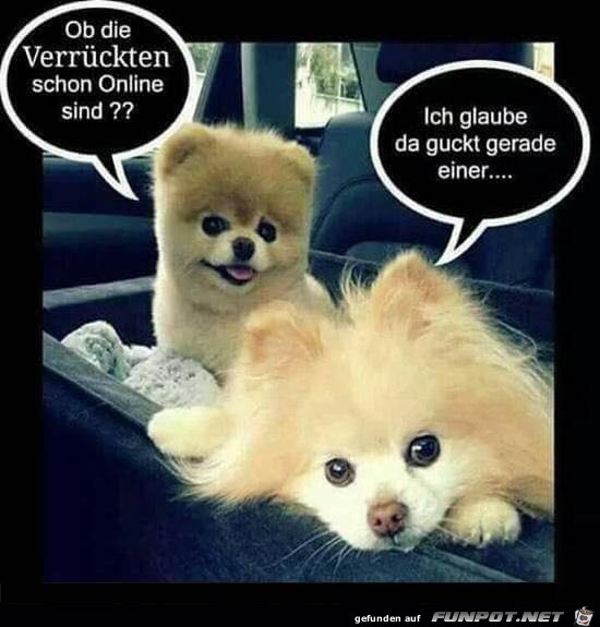 Online und verrückt Online und verrückt