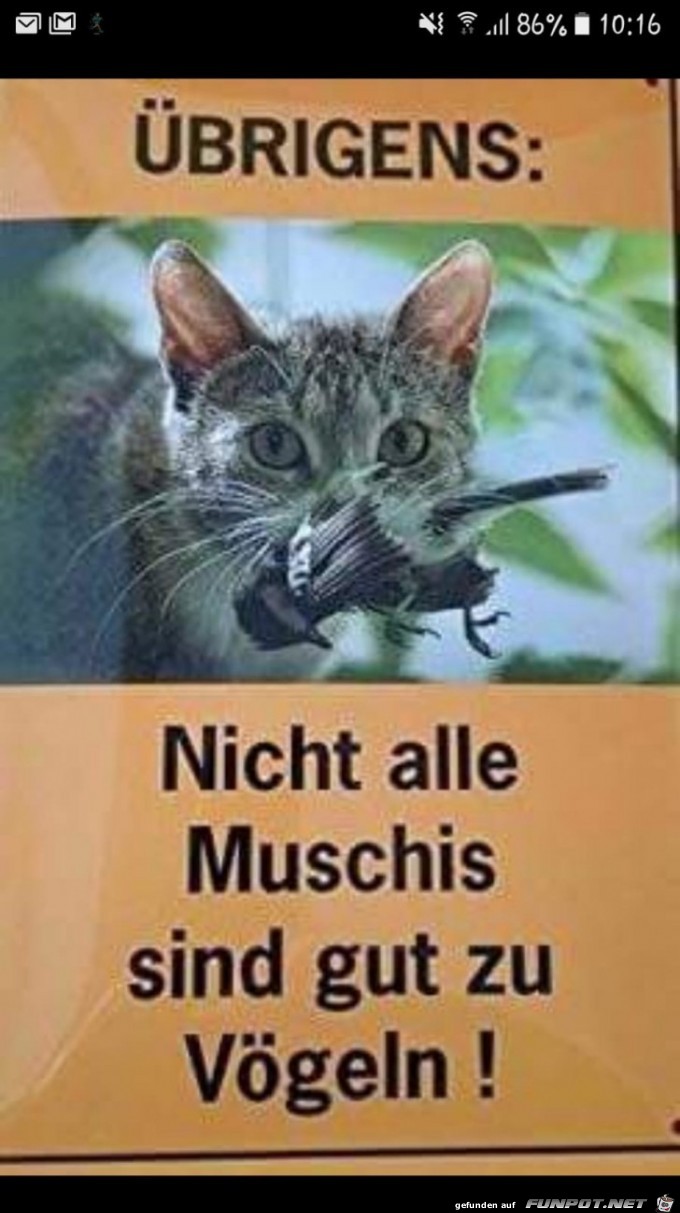 Übrigens Übrigens