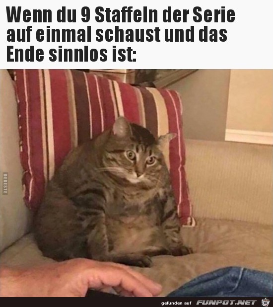 Sinnloses Ende Sinnloses Ende