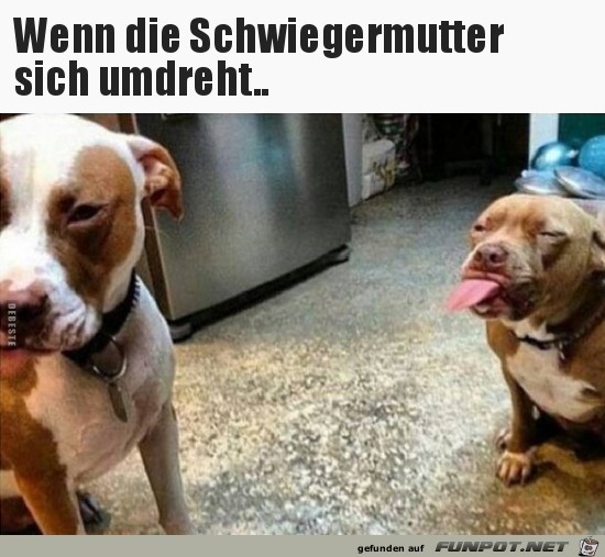 Wenn sich Schwiegermama umdreht