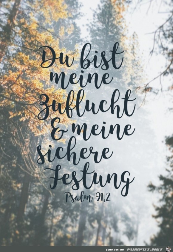 psalm 91.2