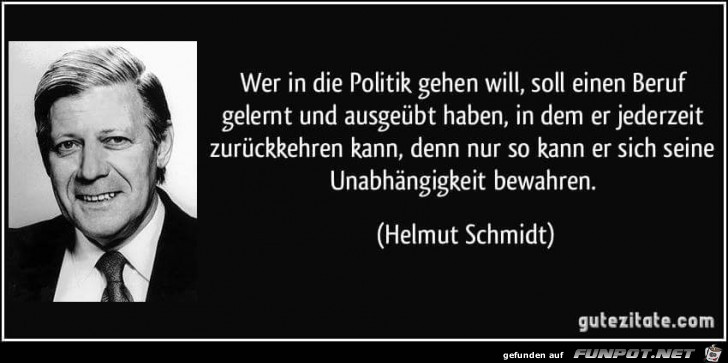 wer in die Politik gehen will