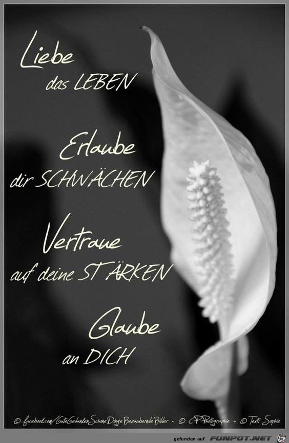 liebe das Leben