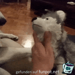 Der böse Blick Der böse Blick
