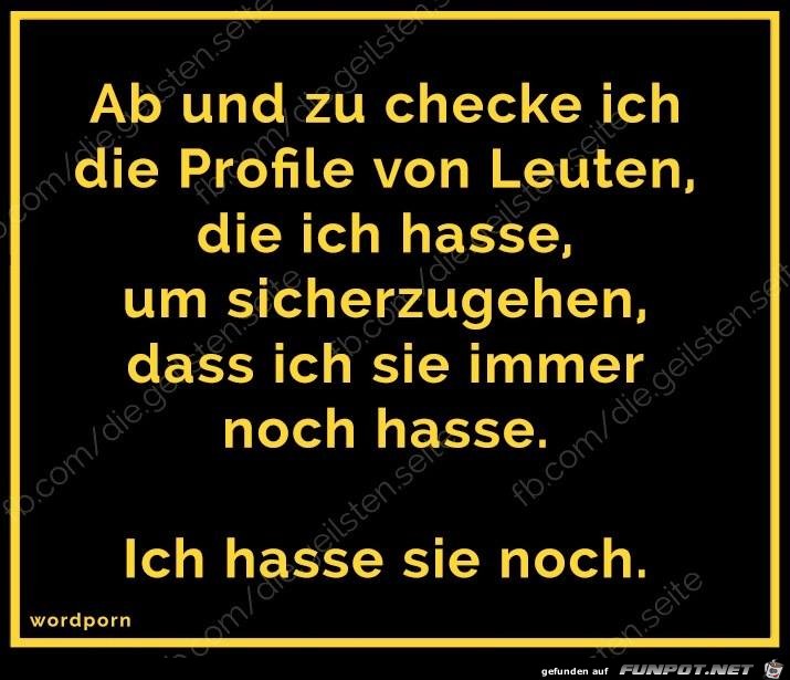 die geilsten Hassen die geilsten Hassen