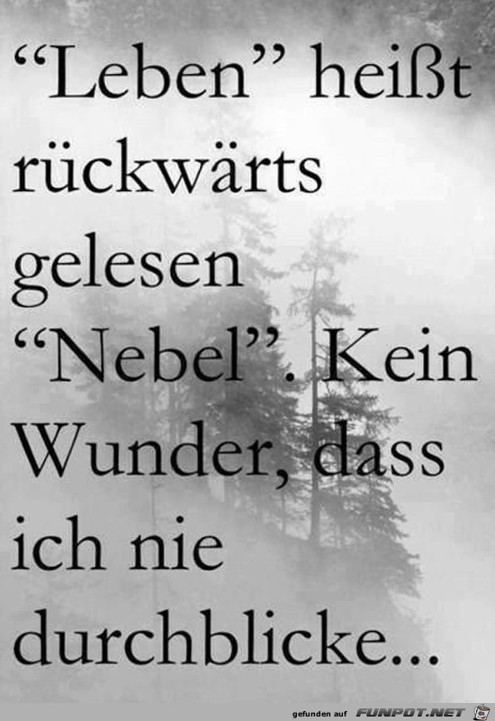 Leben heisst:...... Leben heisst:......