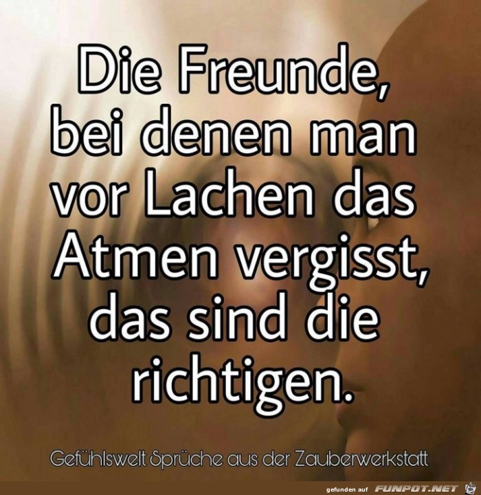 Die Freunde