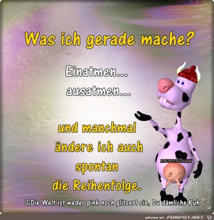 Was ich gerade mache Was ich gerade mache