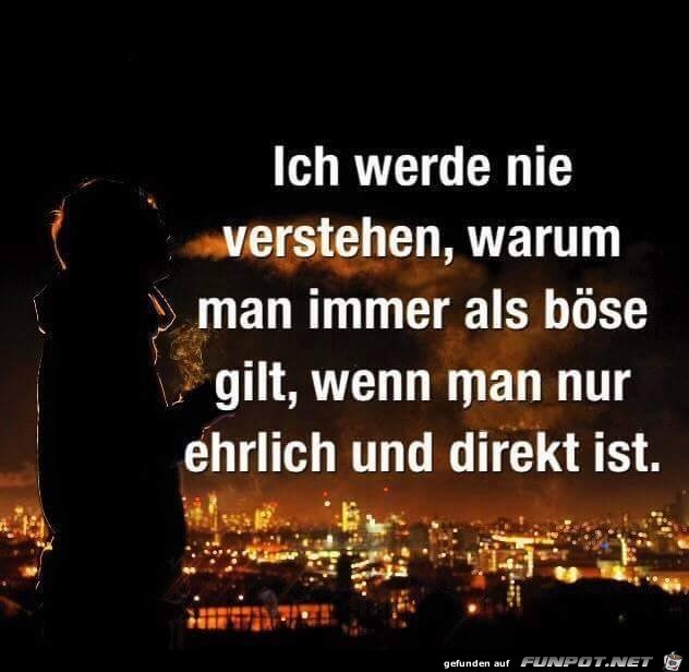 Werde nie verstehen Werde nie verstehen