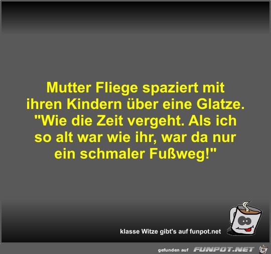 Mutter Fliege spaziert mit ihren Kindern über eine Glatze Mutter Fliege spaziert mit ihren Kindern über eine Glatze