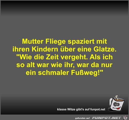 Mutter Fliege spaziert mit ihren Kindern ber eine Glatze