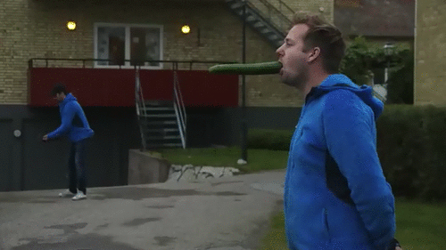 Gurken abschiessen mit Tennisball