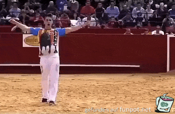 Torero Torero