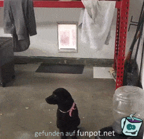 Training Training