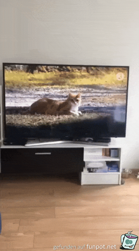 Wo ist die Katze hin Wo ist die Katze hin