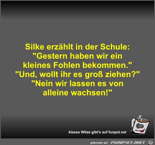 Silke erzählt in der Schule Silke erzählt in der Schule