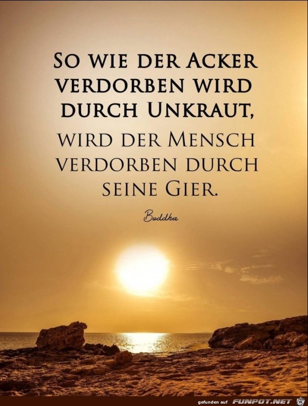 so wie der acker verdorben wird so wie der acker verdorben wird