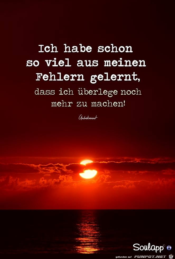 Aus meinen Fehlern gelernt Aus meinen Fehlern gelernt