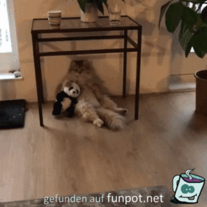 Lass uns in Ruhe Lass uns in Ruhe