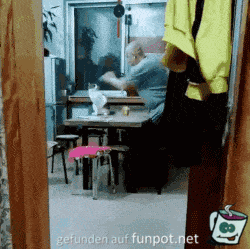 Fight des Tages Fight des Tages