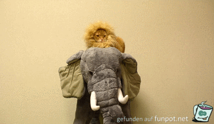 Der Löwe und der Elefant Der Löwe und der Elefant