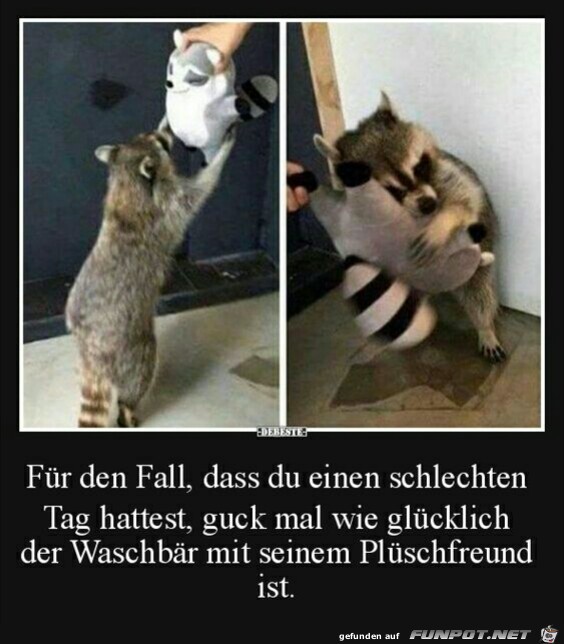 Für den Fall... Für den Fall...