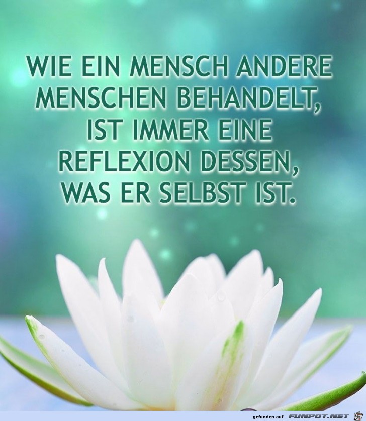wie ein Mensch andere wie ein Mensch andere