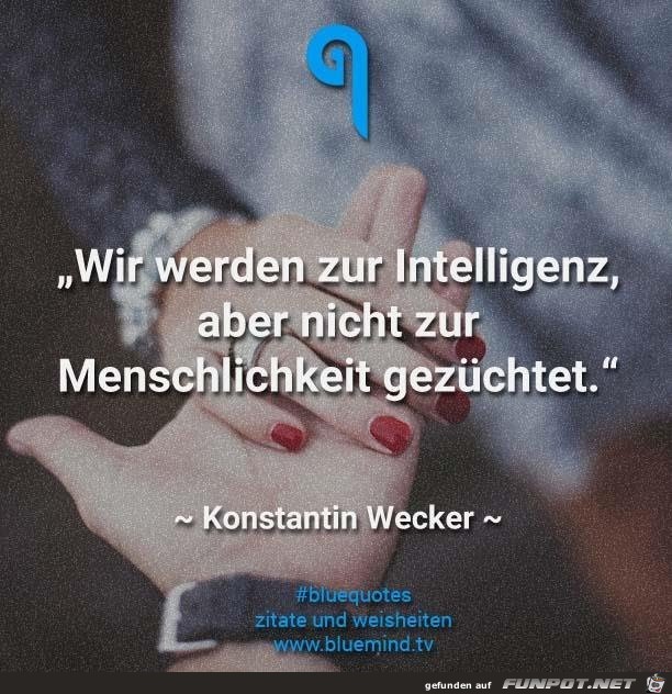 wir werden zur Intelligenz