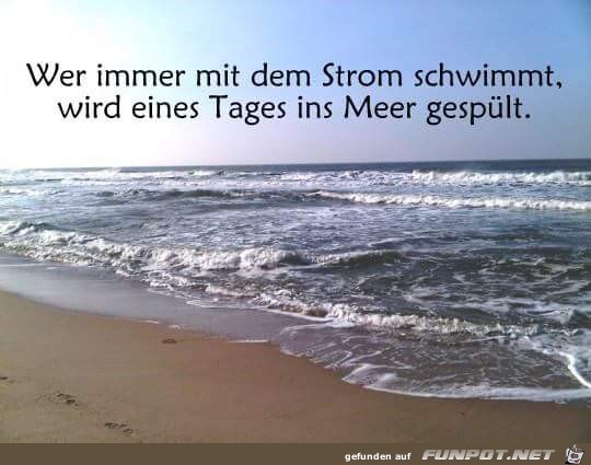 wer immer mit dem strom