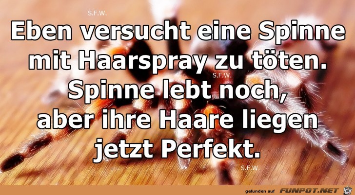 Eben versucht eine Spinne Eben versucht eine Spinne