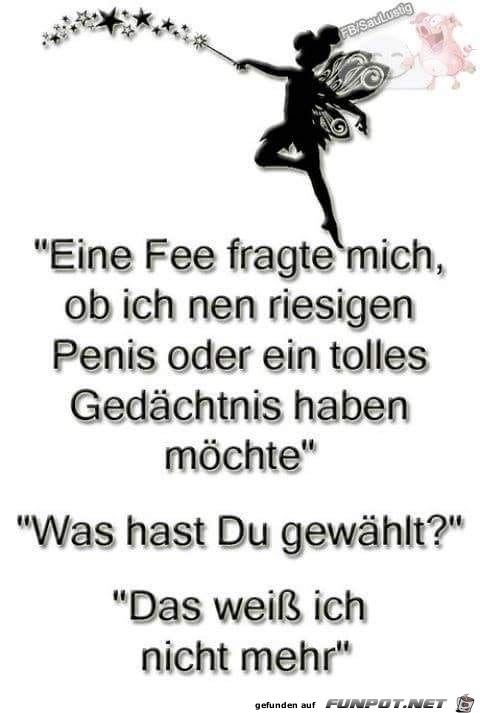 Eine Fee fragte mich, ob....