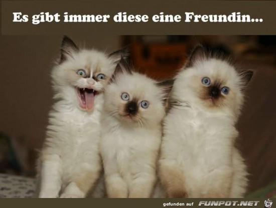 Diese eine Freundin Diese eine Freundin