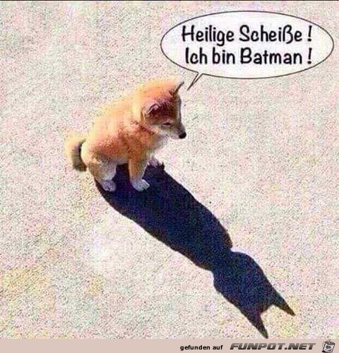Batman Batman