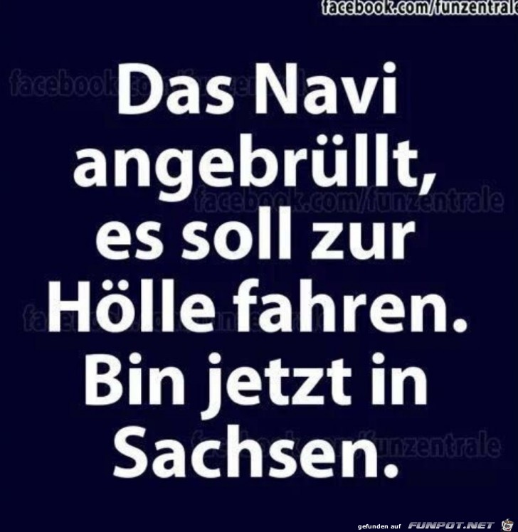 Das Navi angebrllt...