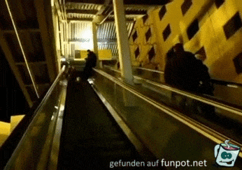 Dumm gelaufen Dumm gelaufen