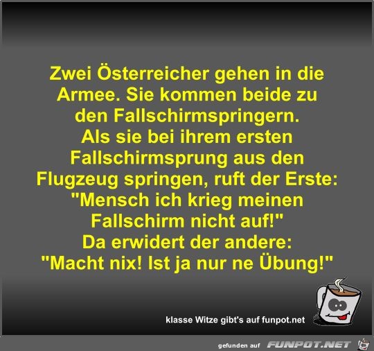 Zwei Österreicher gehen in die Armee Zwei Österreicher gehen in die Armee