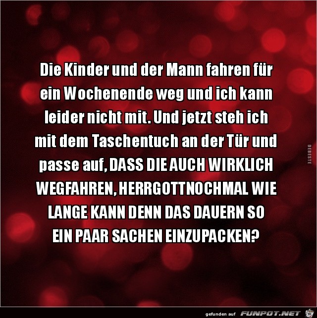 die Kinder und der Mann fahren iins Wochenende....