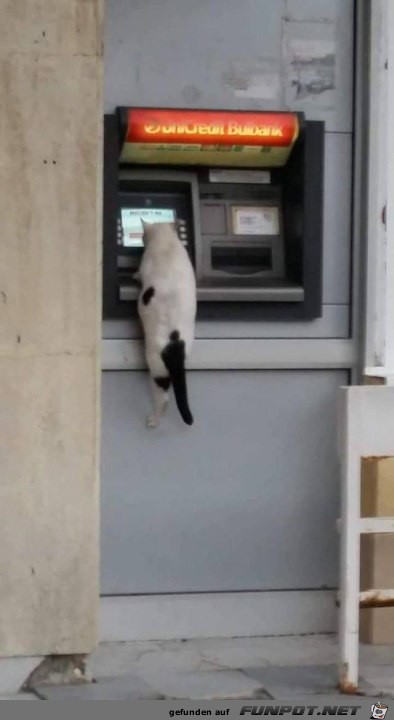 Ich will Mäuse haben Ich will Mäuse haben