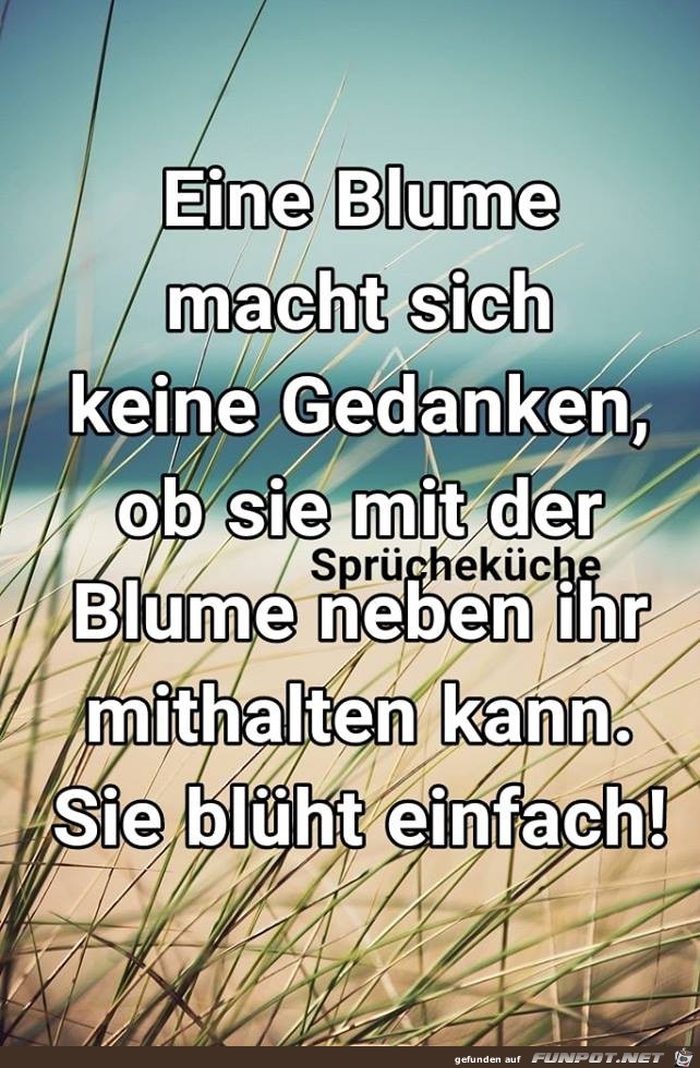 Eine Blume macht sich keine Gedanken Eine Blume macht sich keine Gedanken