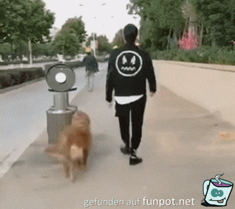 Klasse Hund Klasse Hund