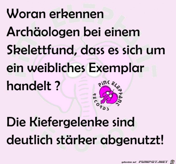 Skelett Skelett
