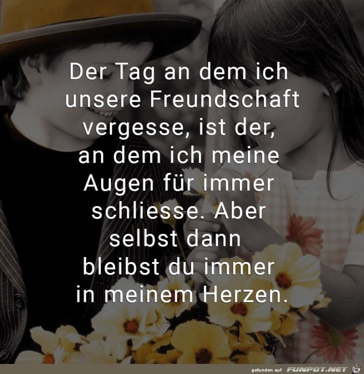 der Tag, an dem ich unsere Freundschaft vergesse......