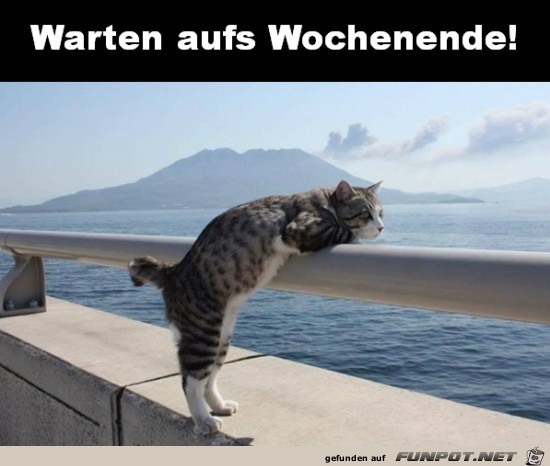 Warten aufs Wochenende