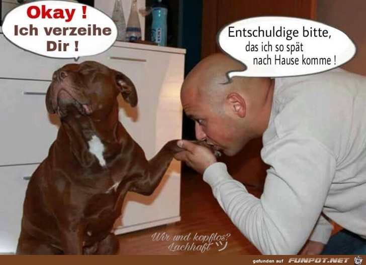Ich verzeih dir Ich verzeih dir