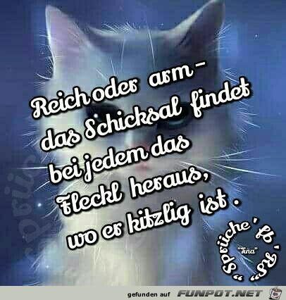 Reich oder arm Reich oder arm
