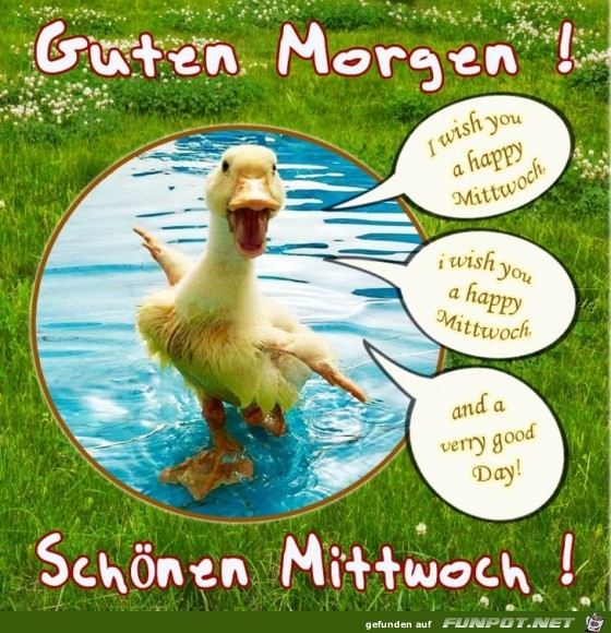 Mittwoch Mittwoch